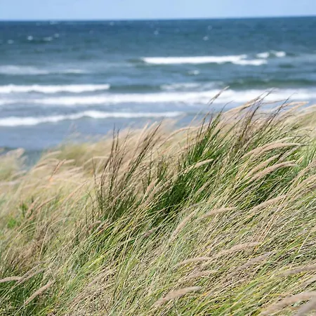At Skaerby Nykobing Sjaelland